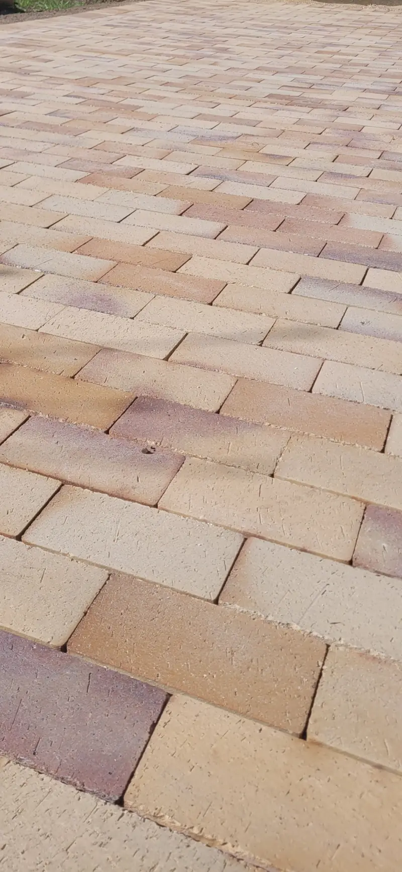 Sti belagt med natursten gennem have