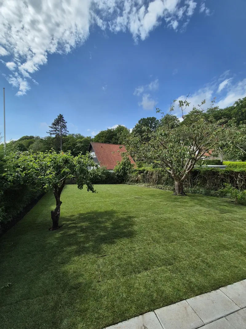 Komplet gårdhave designet med beplantning og belægning