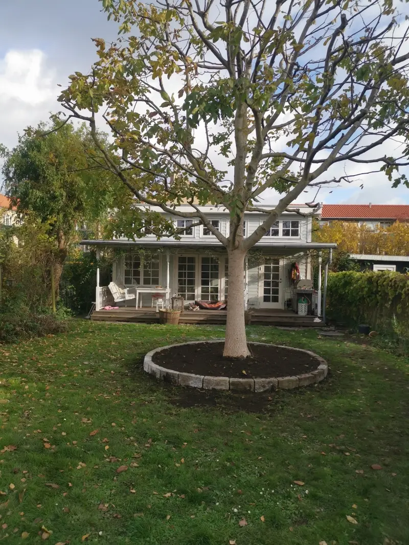 Støttemur i natursten med beplantning i toppen